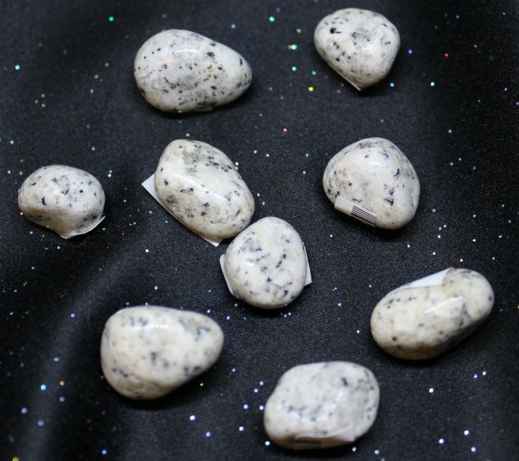 Jasper Dalmatian - Northern Magick Supplies