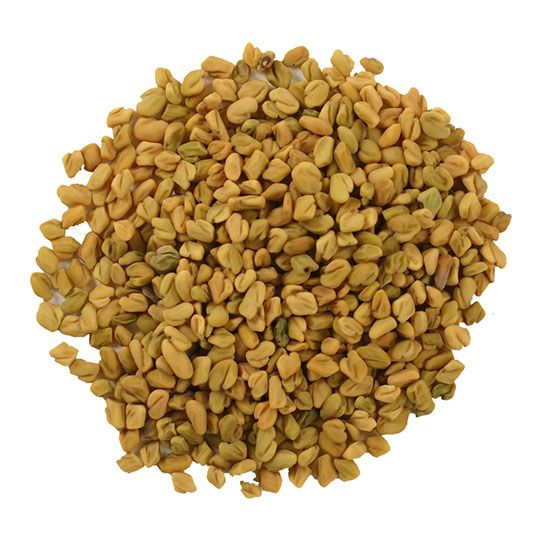 Fenugreek Seed - Organic (1 oz)