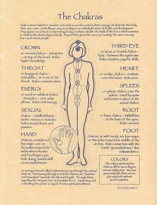 Chakras Poster - Northern Magick Supplies