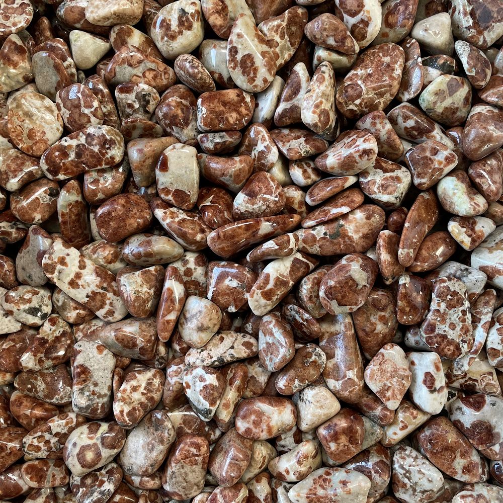 Garnet in Limestone - Northern Magick Supplies