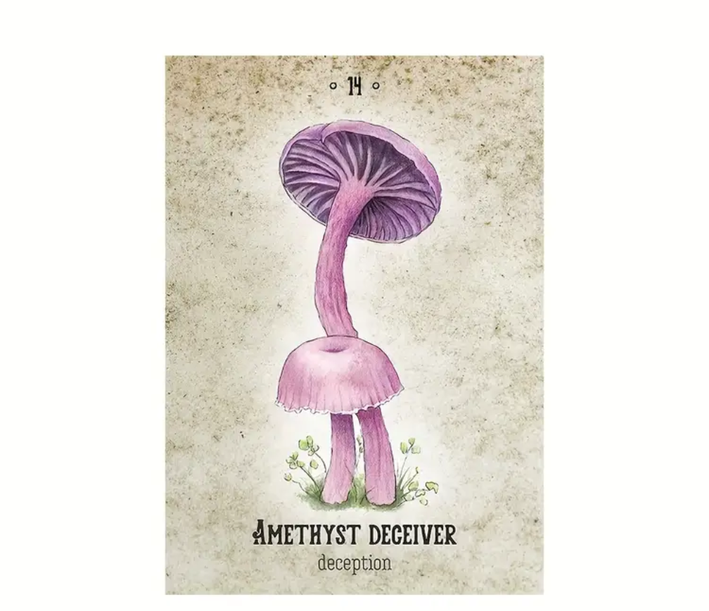 Mushroom Spirit Oracle Deck - Northern Magick Supplies