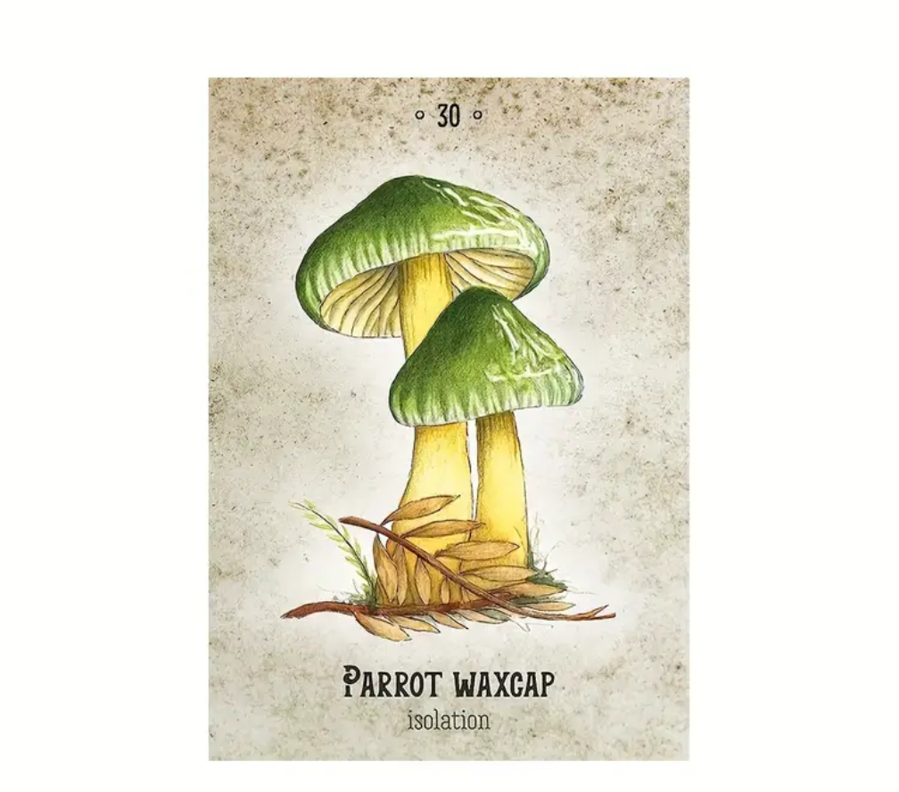 Mushroom Spirit Oracle Deck - Northern Magick Supplies