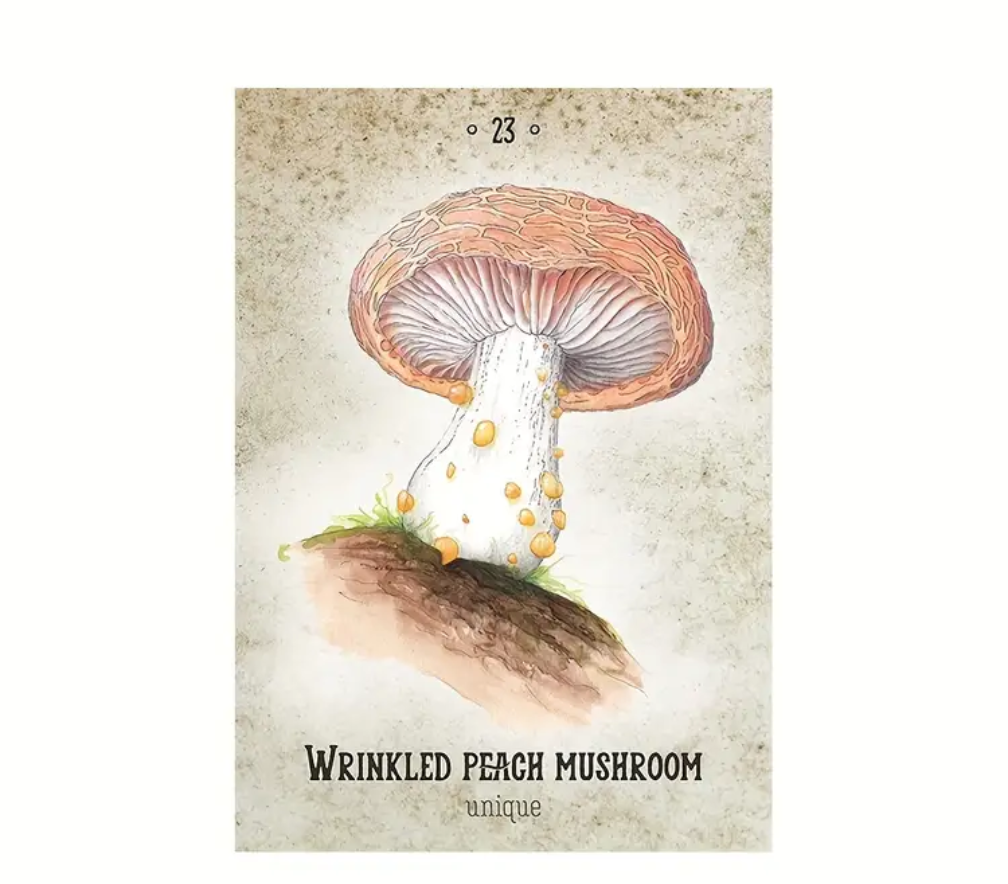 Mushroom Spirit Oracle Deck - Northern Magick Supplies