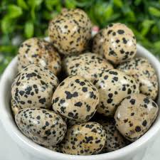 Large Dalmatian Jasper Tumbled - Northern Magick Supplies