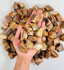 Petrified Wood Rough Chunk