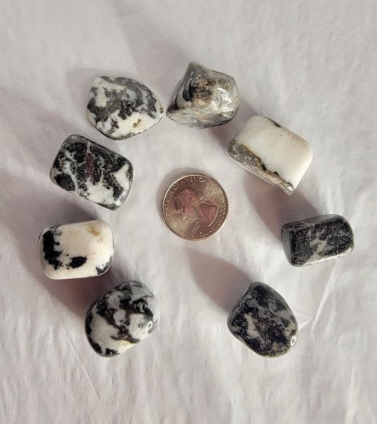 Calcite Tiger - Tumbled - Northern Magick Supplies