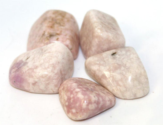 Tanzanite Prairie Pink