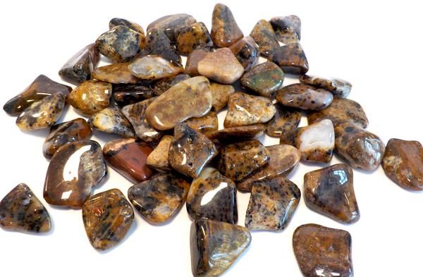 Agate Cheetah - Northern Magick Supplies