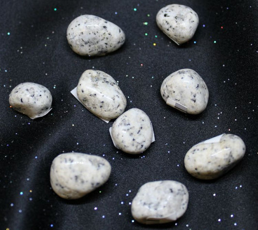 Jasper Dalmatian - Northern Magick Supplies