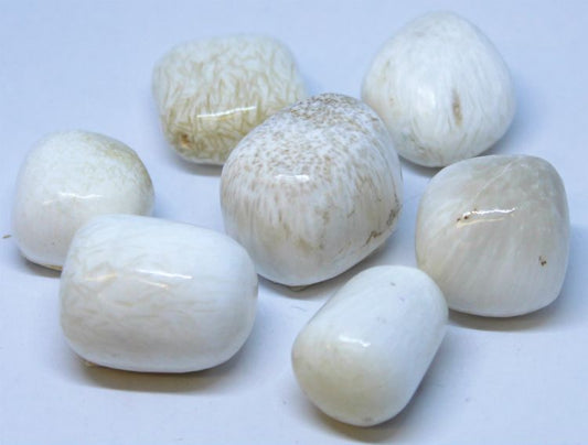 Scolecite