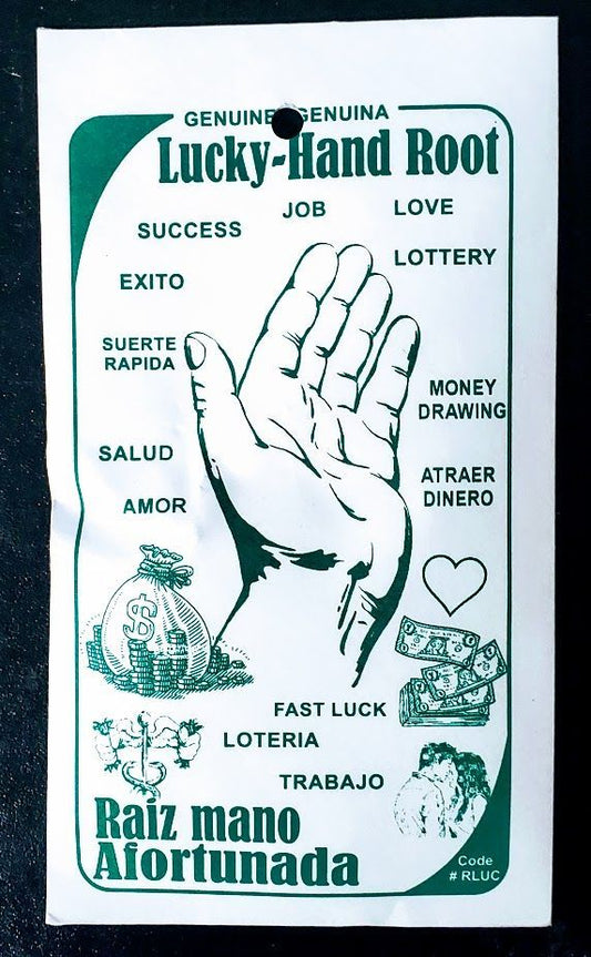 Lucky Hand Root - Small - Northern Magick Supplies
