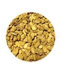Devil's Claw Root - Cut (1 oz)
