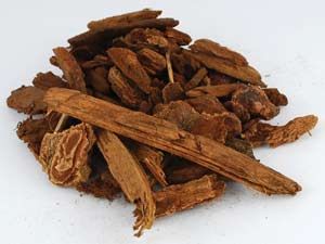 Jezebel Root (1 oz) - Northern Magick Supplies