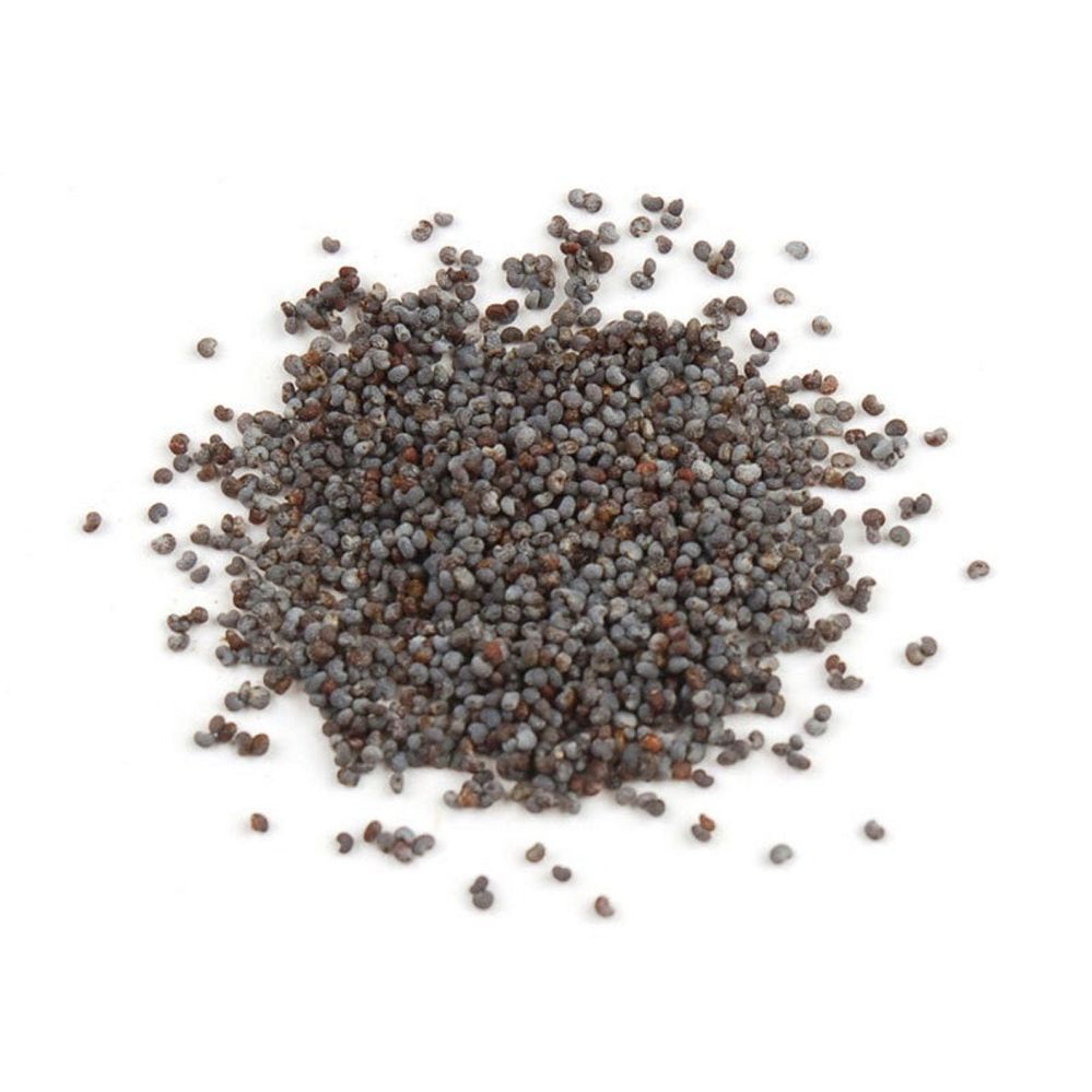 Poppy Seeds - Organic (1 oz) - Northern Magick Supplies