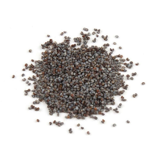 Poppy Seeds - Organic (1 oz) - Northern Magick Supplies
