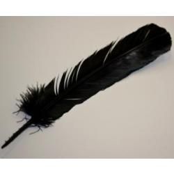 Black Feather (10-12")