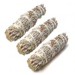 Blue Sage 4" (3 Pack)