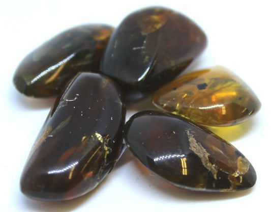 Amber Dark Columbia - Northern Magick Supplies