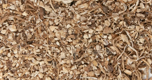 Beth Root / High John - Cut (1 oz) - Northern Magick Supplies