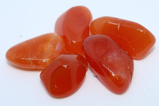Carnelian Botswana AA - Northern Magick Supplies