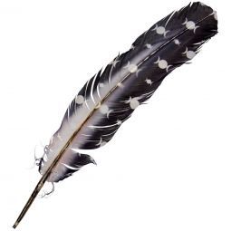Triple Moons Feather (12")