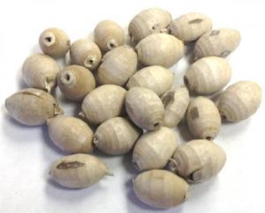 Tulsi "Oval Shaped" Bead 5-Pk - Northern Magick Supplies