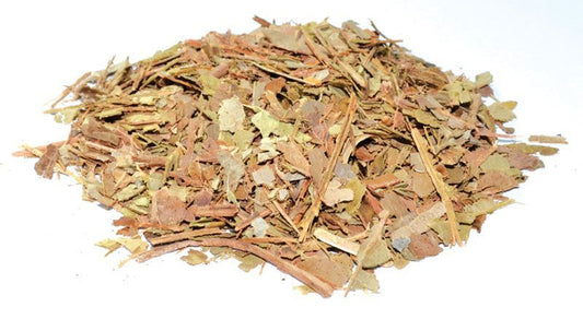 Wintergreen Mint - Cut (1 oz) - Northern Magick Supplies
