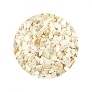 Mother of Pearl Chips - 2oz - Northern Magick Supplies