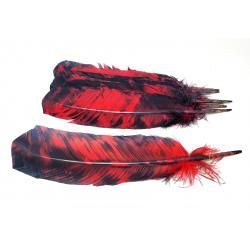 Smokey Red Feather - Northern Magick Supplies