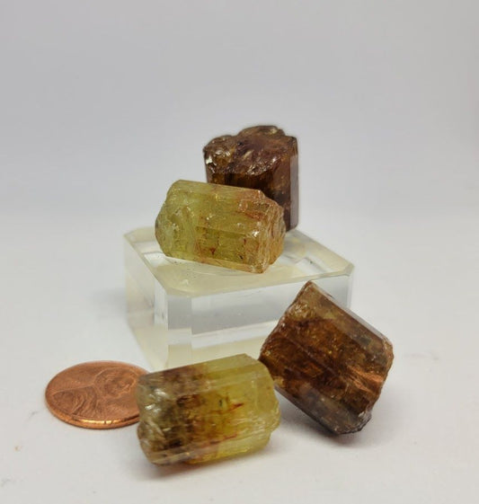 Golden Apatite - Northern Magick Supplies