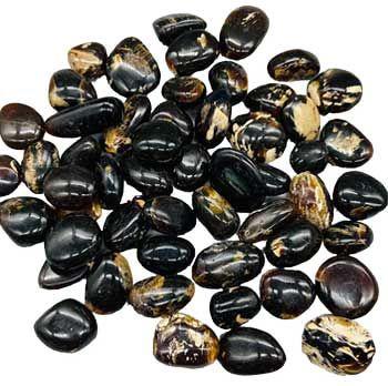 Zebra Amber - Northern Magick Supplies