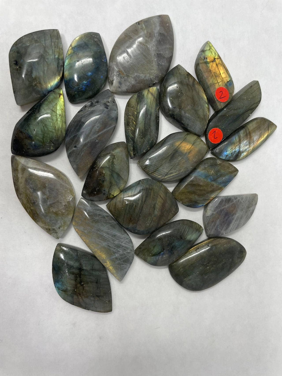 Labradorite Cabochon Blue/Yellow/Green - lot of 10