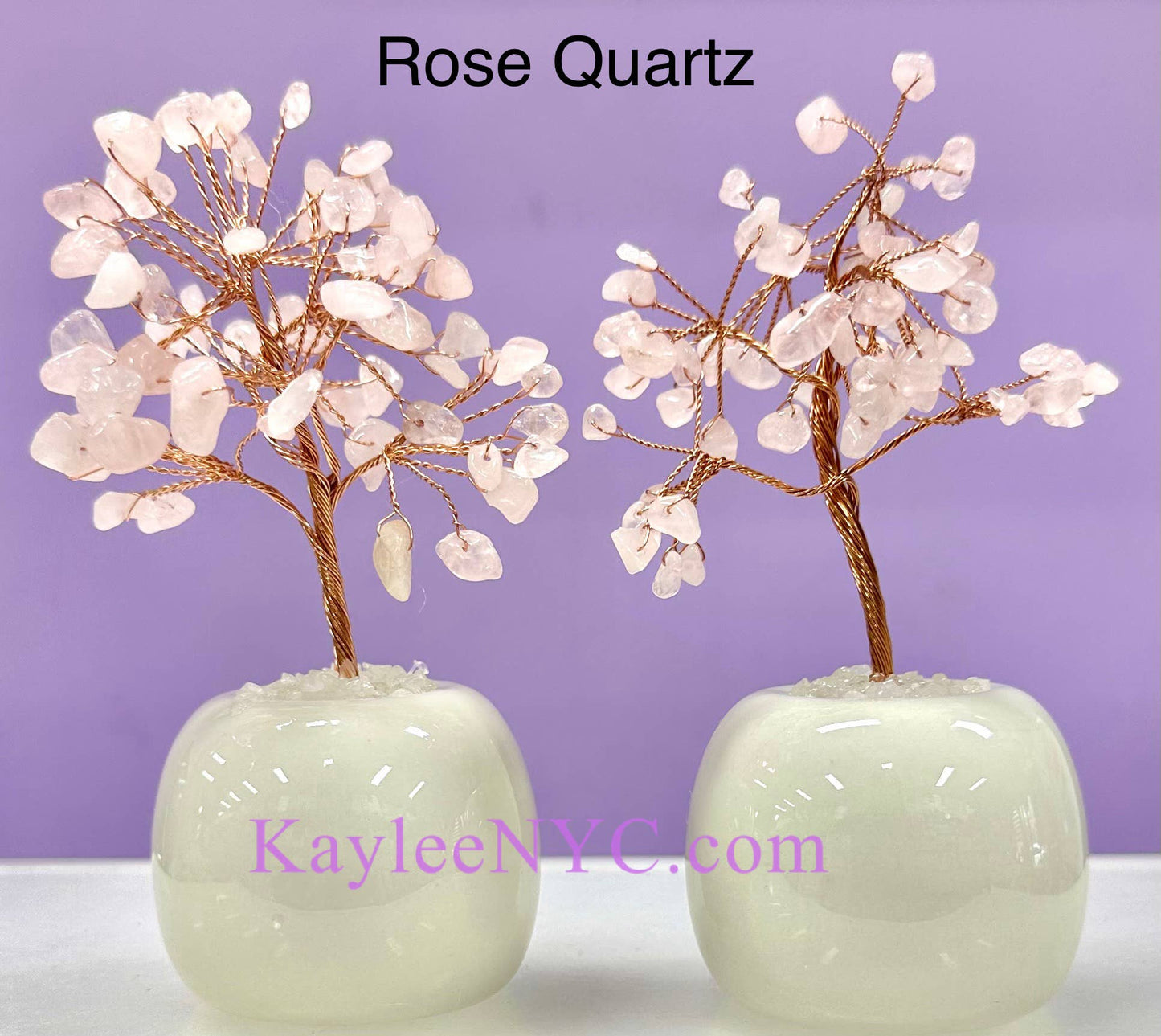 Natural Tree with Bowl Base (each) - Northern Magick Supplies