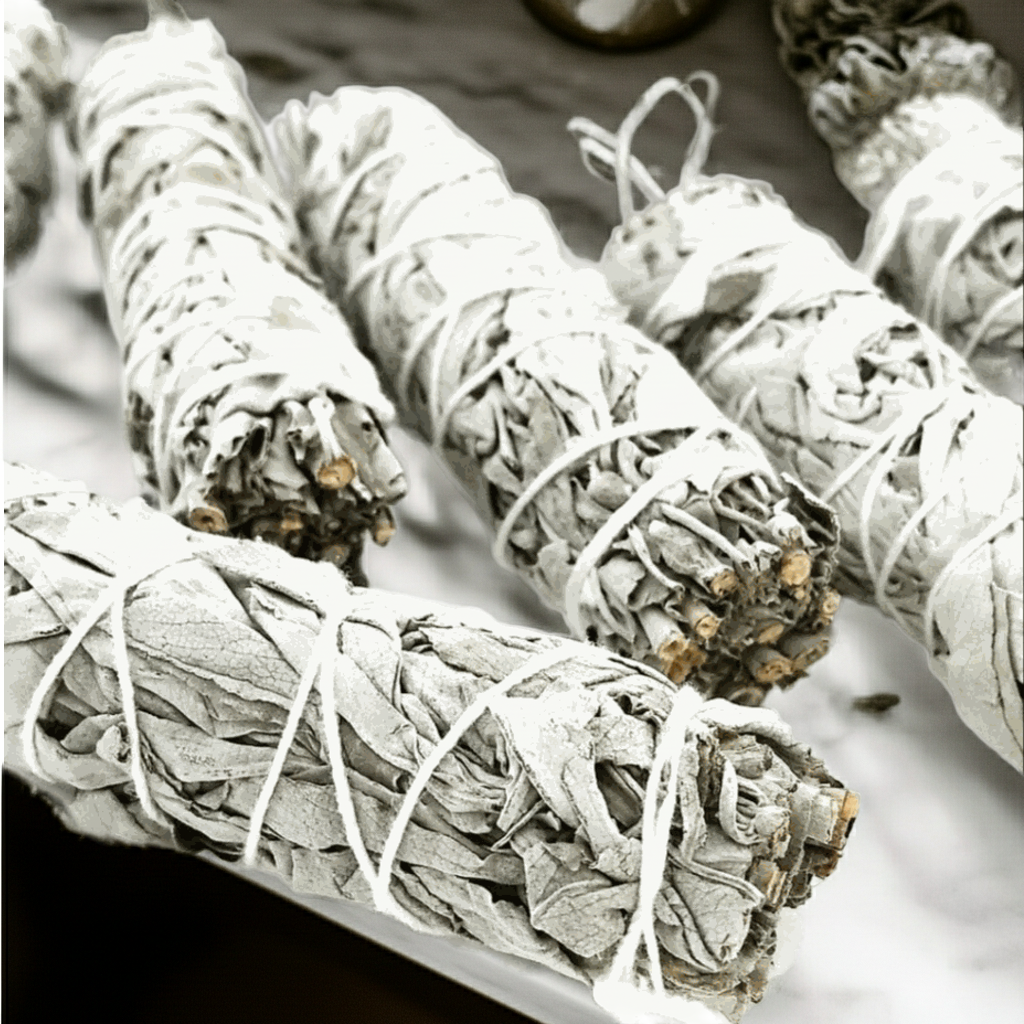 6 pack of white sage bundles - Northern Magick Supplies