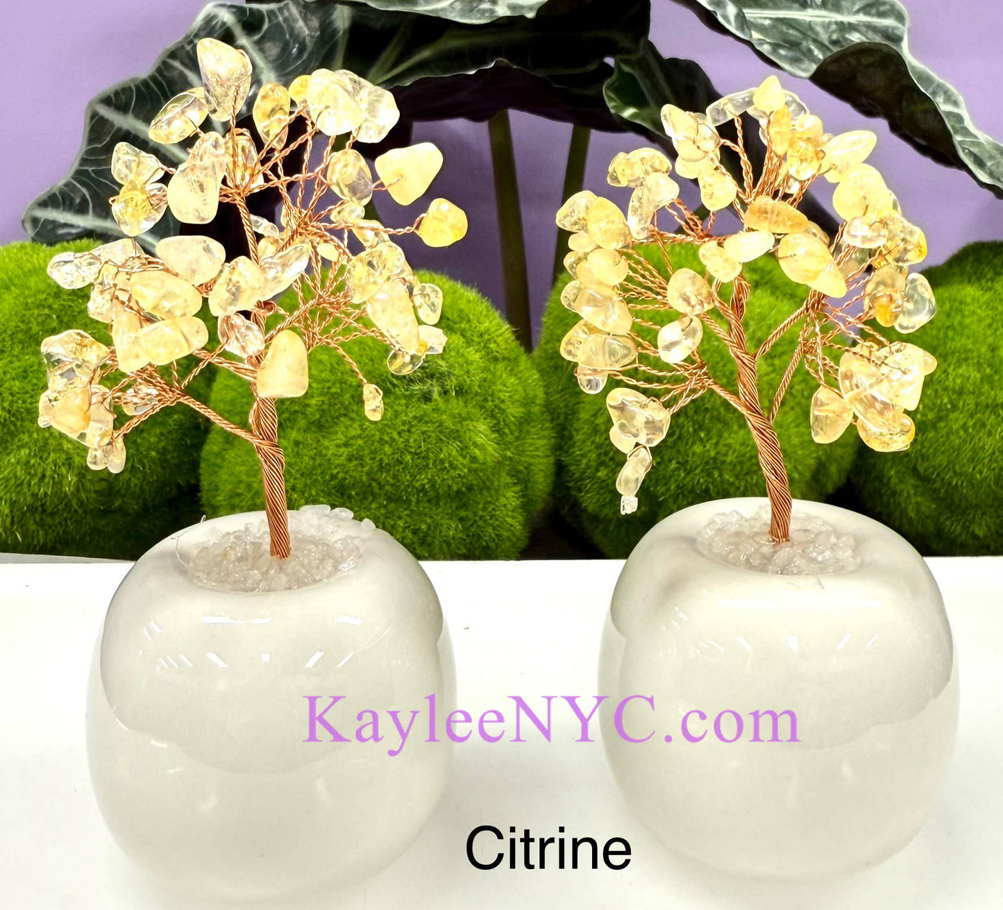 Natural Tree with Bowl Base (each) - Northern Magick Supplies