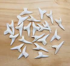 Baby Shark Teeth (5 Pack)
