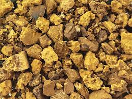 Chaga Mushroom - Granules (1 oz)