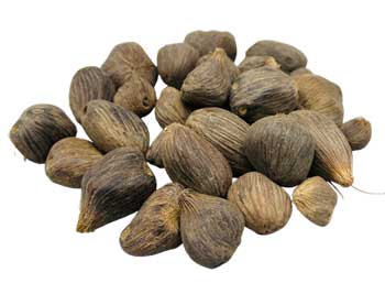 Ikin 3 Eyes (Palm Oil Seed) 7pk - Northern Magick Supplies