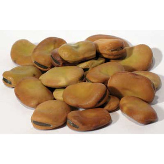 Mojo Wish Beans (1 oz) - Northern Magick Supplies