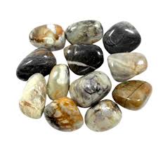 Picasso Jasper B Tumbled