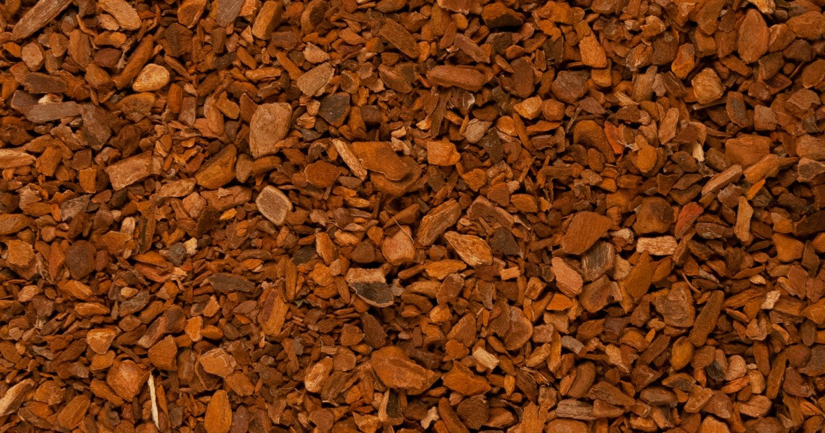 Sassafras Bark - Cut (1 oz)