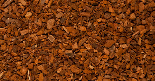 Sassafras Bark - Cut (1 oz)